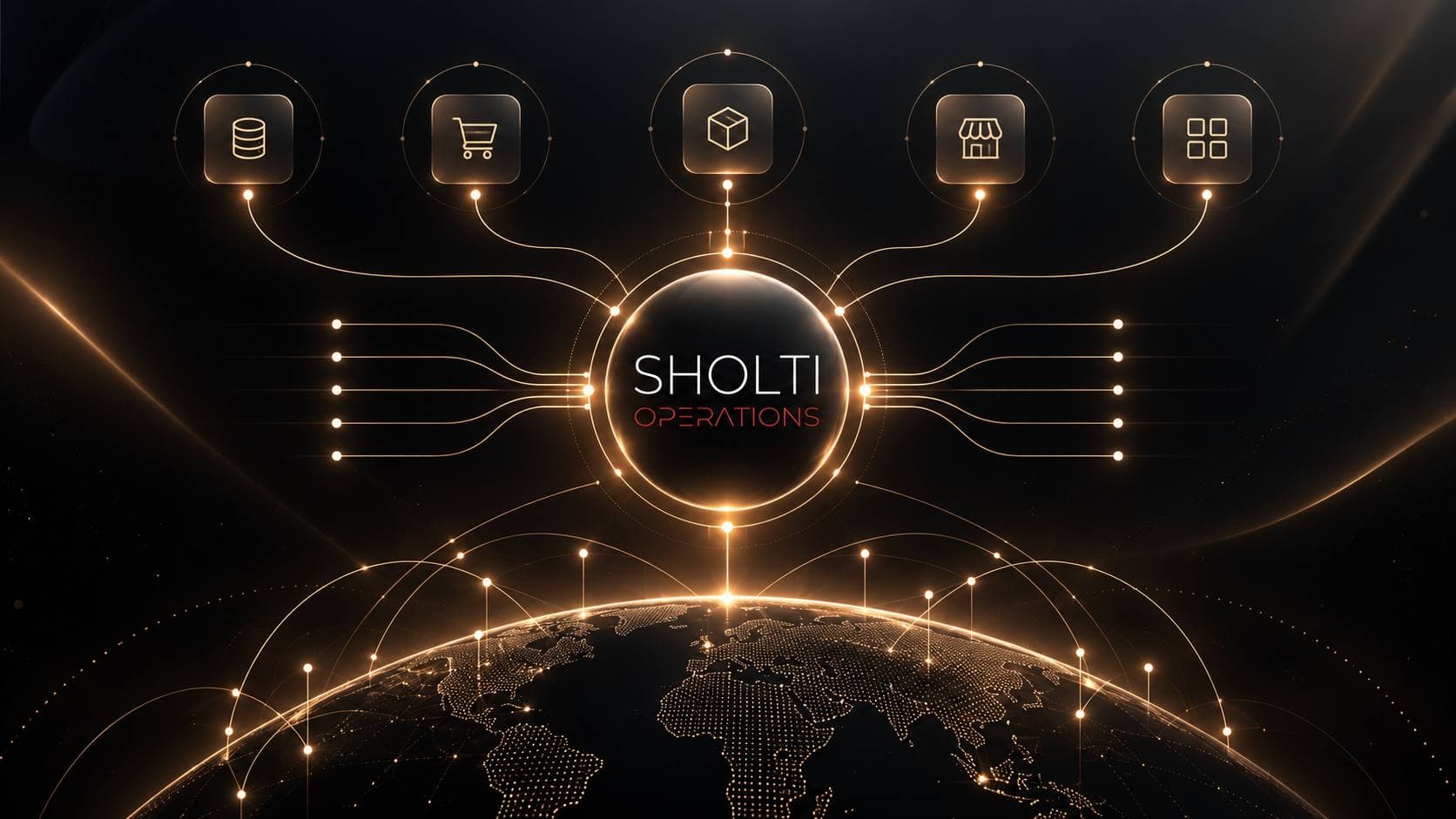 SHOLTI API and business systems integration network